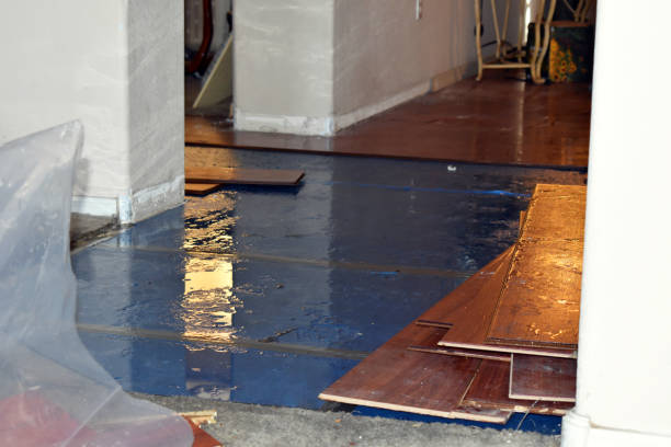 Professional Water Damage Repair technician working in Russellville, AL